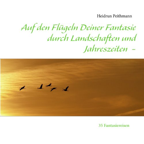 Auf den Flügeln Deiner Fantasie durch Landschaften und Jahreszeiten 35 Fantasiereisen - Peithmann, Heidrun