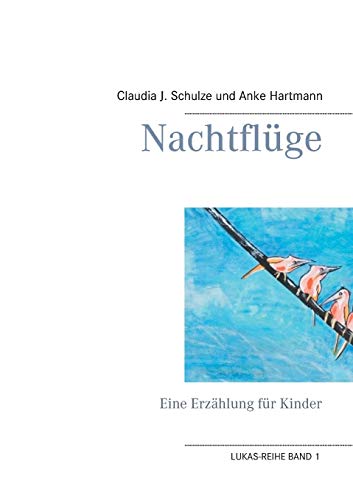 Beispielbild fr Nachtflge : Eine Erzhlung fr Kinder zum Verkauf von Buchpark