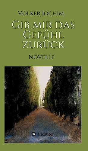 9783732361656: Gib mir das Gefhl zurck: Novelle