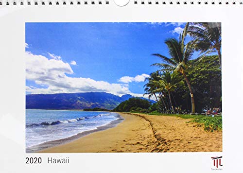 Stock image for Hawaii 2020 - White Edition - Timokrates Kalender, Wandkalender, Bildkalender - DIN A4 (ca. 30 x 21 cm) for sale by Reuseabook