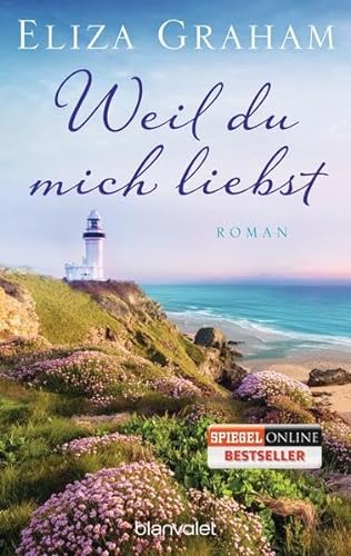 Stock image for Weil du mich liebst: Roman for sale by medimops