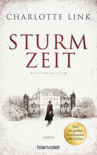 9783734105982: Sturmzeit: Roman: 1 (Die Sturmzeit-Trilogie, 1)
