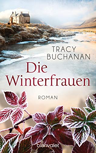 Stock image for Die Winterfrauen: Roman for sale by medimops