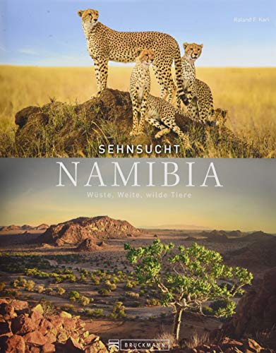 Stock image for Bildband Namibia: Sehnsucht Namibia. Wste, Weite, wilde Tiere. Vom Etosha Nationalpark zur Wste Namib, nach Windhoek, Lderitz und Caprivi. Ein Reisefhrer fr Natur- und Kulturfreunde. for sale by medimops