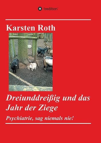 Dreiunddreißig und das Jahr der Ziege : Psychiatrie, sag niemals nie! - Karsten Roth