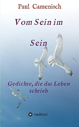 Stock image for Vom Sein im Sein (German Edition) for sale by Lucky's Textbooks