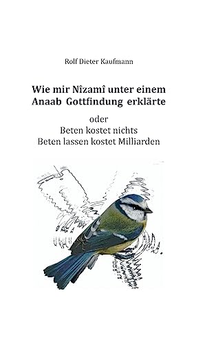 Beispielbild fr Wie mir Nzam unter einem Anaab Gottfindung erklrte (German Edition) zum Verkauf von Lucky's Textbooks