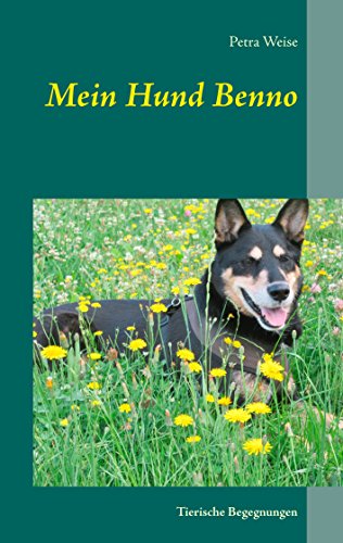 Mein Hund Benno : Tierische Begegnungen - Petra Weise