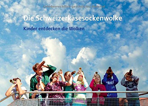 Imagen de archivo de Die Schweitzerksesockenwolke: Kinder entdecken die Wolken a la venta por medimops