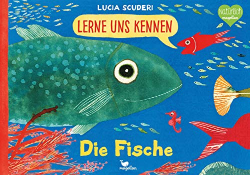 Beispielbild fr Lerne uns kennen - Die Fische zum Verkauf von medimops