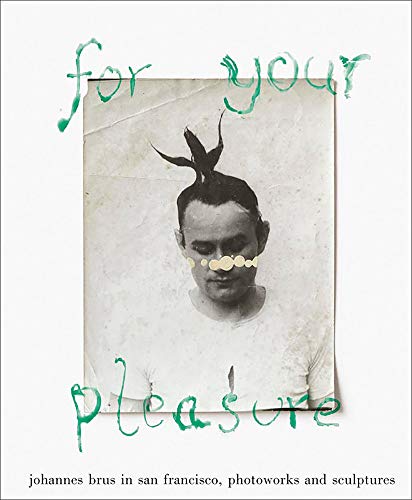 9783735605290: For Your Pleasure: Photoworks and Sculptures