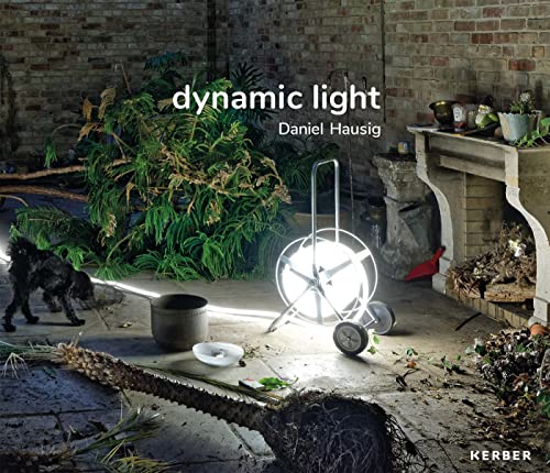 Imagen de archivo de Daniel Hausig: dynamic light a la venta por medimops
