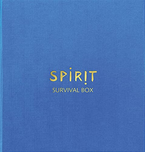 Beispielbild fr Dieter Huber : Spirit: Survival Box zum Verkauf von Buchpark