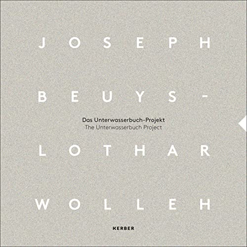 Beispielbild fr Joseph Beuys and Lothar Wolleh zum Verkauf von Blackwell's