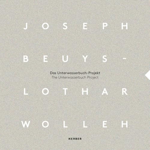 Imagen de archivo de Joseph Beuys and Lothar Wolleh a la venta por Blackwell's