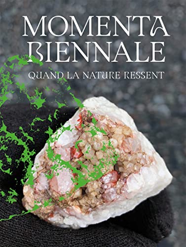 Stock image for MOMENTA Biennale de l?image: Quand la nature ressent for sale by medimops