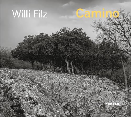 9783735609502: Willi Filz: Camino