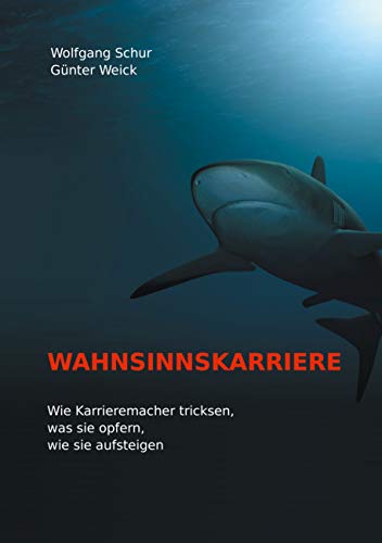 Beispielbild fr Wahnsinnskarriere: Wie Karrieremacher tricksen, was sie opfern, wie sie aufsteigen (German Edition) zum Verkauf von Book Deals