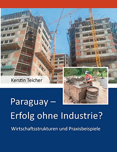 Stock image for Paraguay - Erfolg ohne Industrie?: Wirtschaftsstrukturen und Praxisbeispiele (German Edition) for sale by Lucky's Textbooks