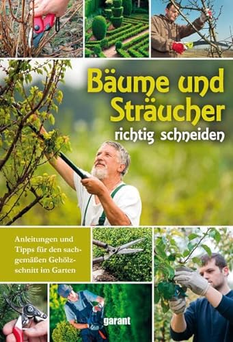 Stock image for Bume und Strucher richtig schneiden for sale by medimops