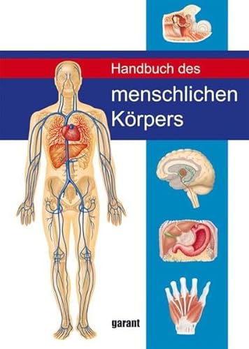 Beispielbild fr Handbuch des menschlichen Krpers zum Verkauf von medimops