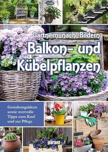 Beispielbild fr Balkon- und Kbelpflanzen zum Verkauf von medimops