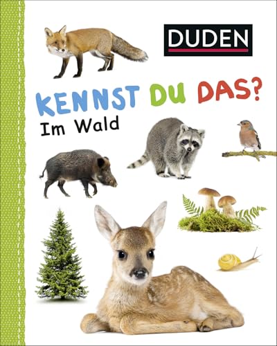 Stock image for Duden 12+: Kennst du das? Im Wald: ab 12 Monaten (Duden - Kennst du das?) for sale by Books Unplugged