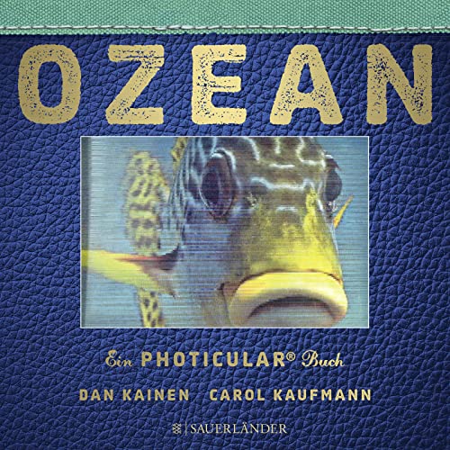 9783737352086: Ozean: Ein Photicular Buch