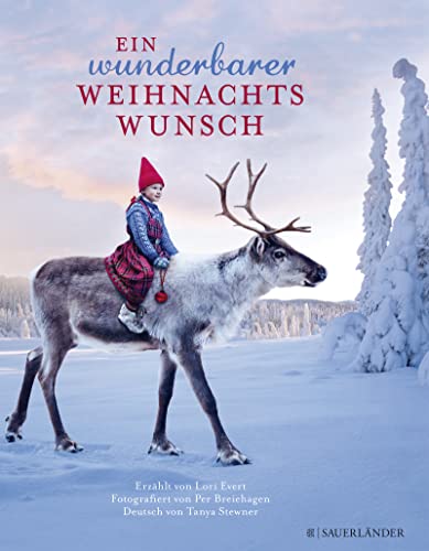 Imagen de archivo de Ein wunderbarer Weihnachtswunsch a la venta por medimops