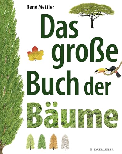 Stock image for Das groe Buch der Bume. Ren Mettler for sale by Wanda Schwrer