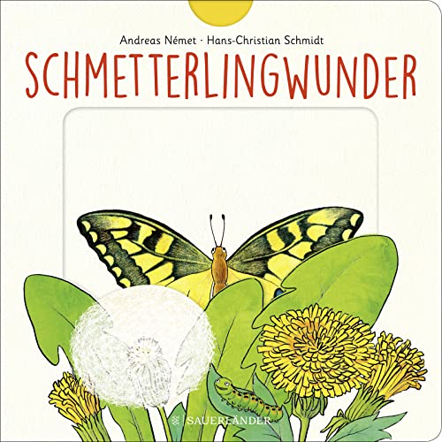 Stock image for Schmetterlingwunder. for sale by Steamhead Records & Books