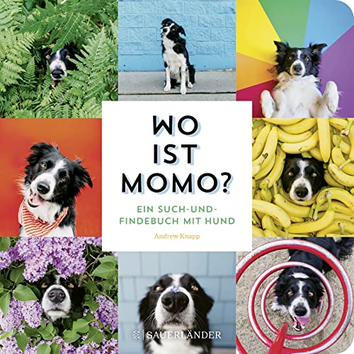 Stock image for Wo ist Momo? for sale by GreatBookPrices