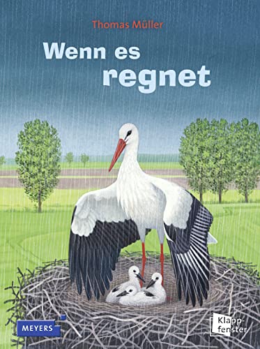 9783737370578: Wenn es regnet