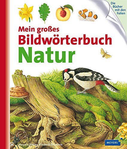 Beispielbild fr Mein groes Bildwrterbuch Natur zum Verkauf von medimops