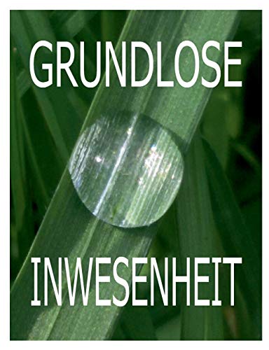 Beispielbild fr Grundlose Inwesenheit 22 Ekstatische Essays 1992-2015 zum Verkauf von Buchpark