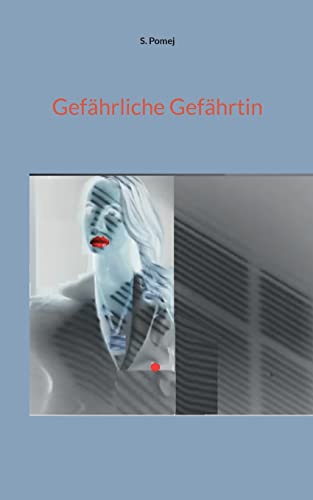 9783738643817: Gefhrliche Gefhrtin (German Edition)