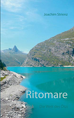 9783738648676: Ritomare: Die Welt des tzi