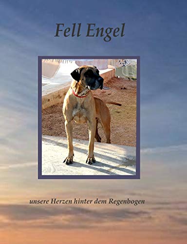 9783738649215: Fell Engel: Unsere Herzen hinter dem Regenbogen