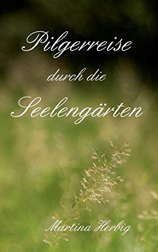 Stock image for Pilgerreise durch die Seelengrten for sale by medimops