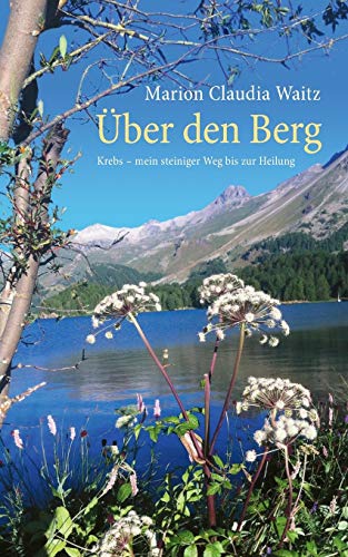 9783739266596: ber den Berg: Krebs - mein steiniger Weg bis zur Heilung