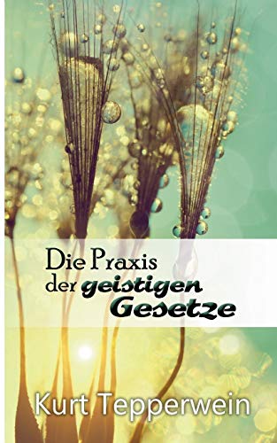 9783741293665: Die Praxis der geistigen Gesetze (German Edition)