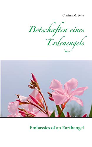 9783741294587: Botschaften eines Erdenengels: Embassies of Earthangel (German Edition)
