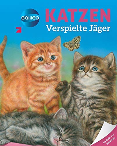 Beispielbild fr Galileo Wissen: Katzen: Verspielte Jger zum Verkauf von medimops