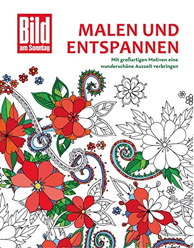 Beispielbild fr Malen und entspannen: Das Bild am Sonntag-Malbuch: Mit groartigen Motiven eine wunderschne Auszeit verbringen (Malbuch fr Erwachsene) zum Verkauf von medimops