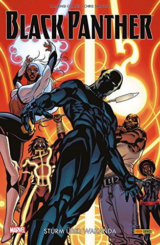Imagen de archivo de Black Panther: Bd. 2 a la venta por medimops