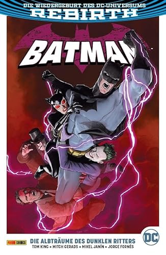 Stock image for Batman: Bd. 10 (2. Serie): Die Albtrume des Dunklen Ritters for sale by Revaluation Books