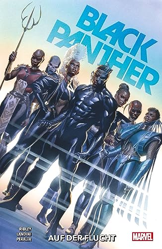 Stock image for Black Panther - Neustart: Bd. 2: Auf der Flucht for sale by Revaluation Books