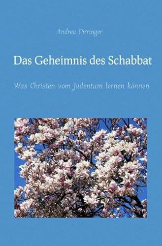 Stock image for Das Geheimnis des Schabbat for sale by medimops