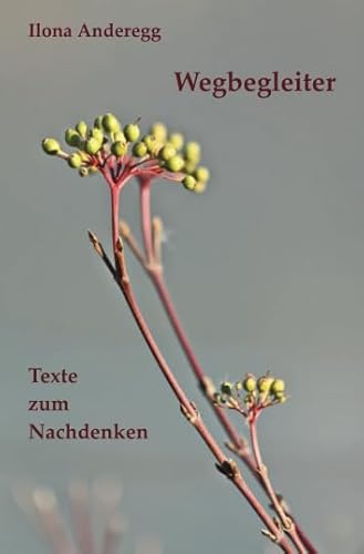 9783741895746: Wegbegleiter: Texte zum Nachdenken (German Edition)