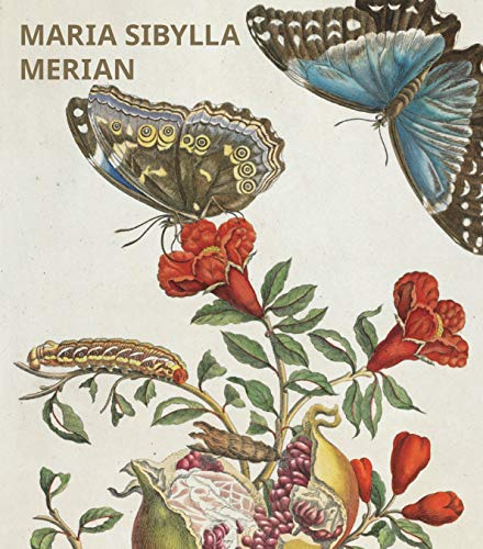 Beispielbild fr Maria Sibylla Merian zum Verkauf von medimops